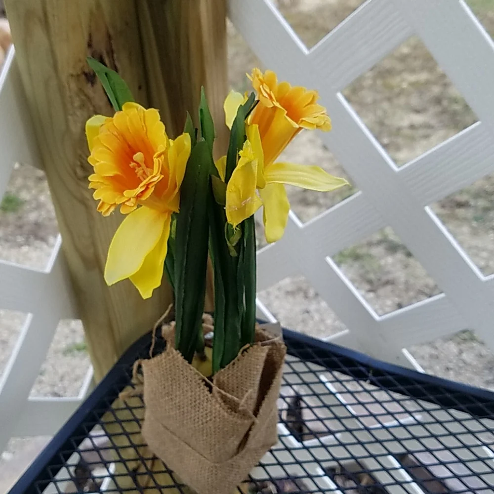 Spring flower's & Vase - Picture 3 of 5